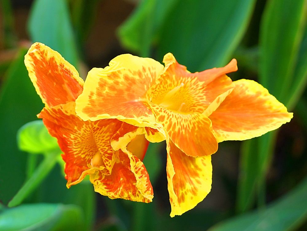 Photograph by Галина Кан