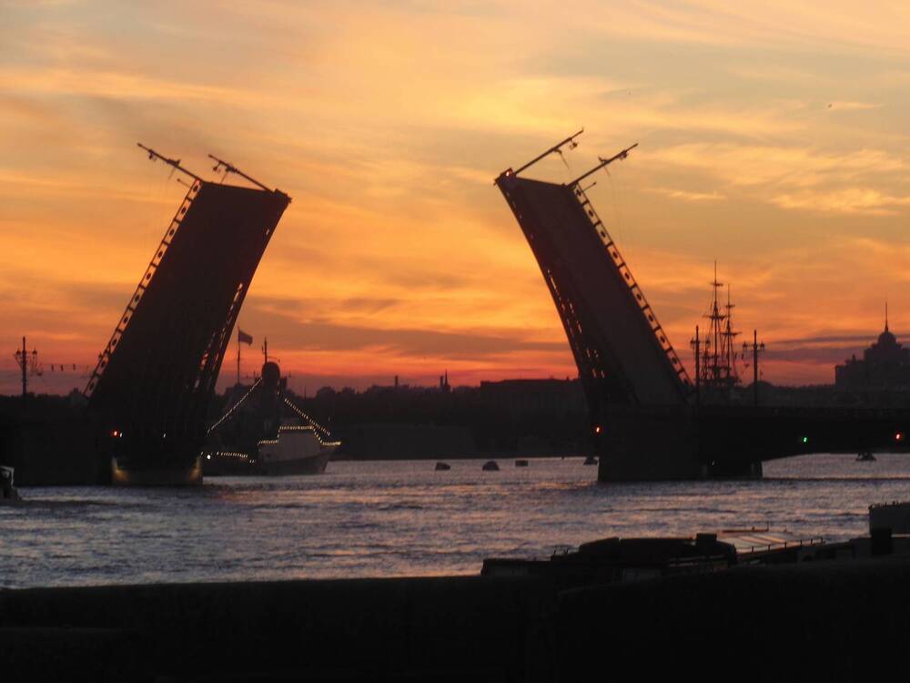 Photo #13443663