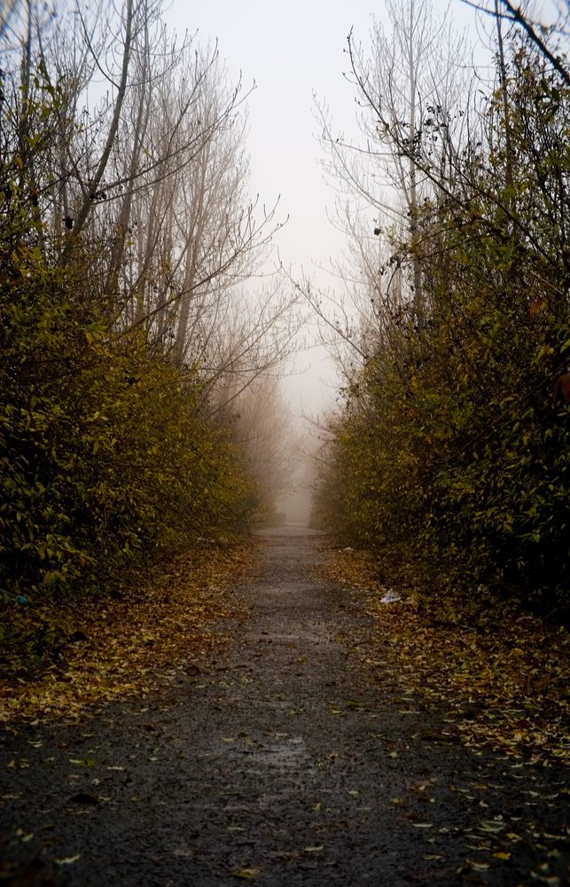 Photograph by Владимир Хохлов
