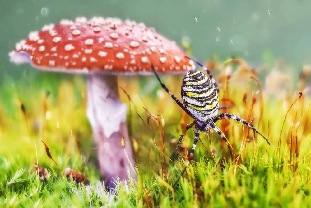 Photograph by Дарья Яновцева