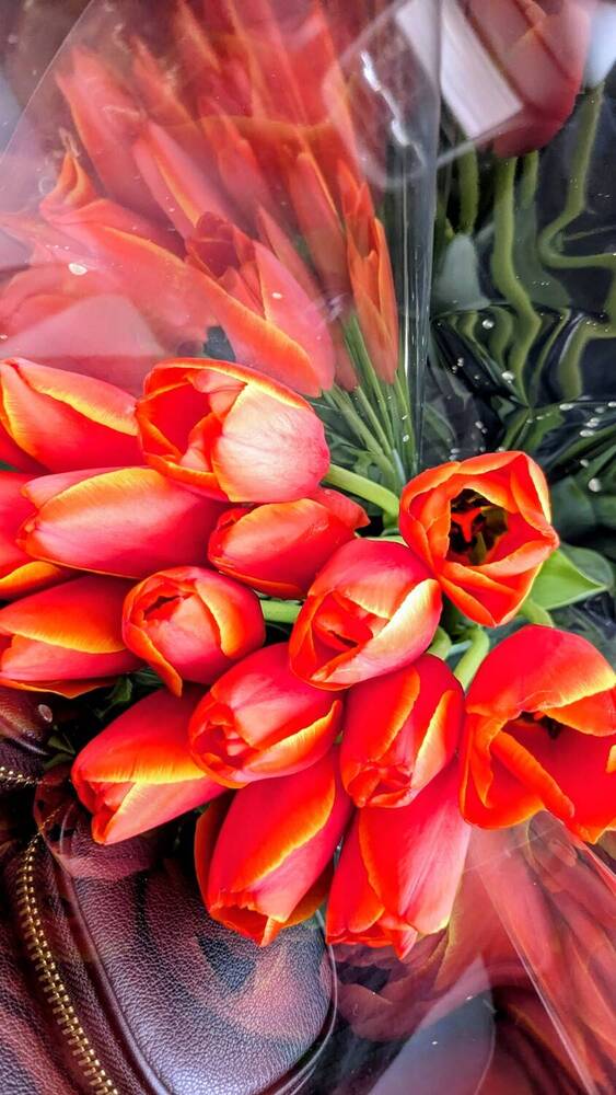 Фотография автора Lilit Petrosyan