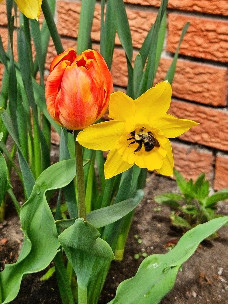 Photograph by Natalia Korobenko