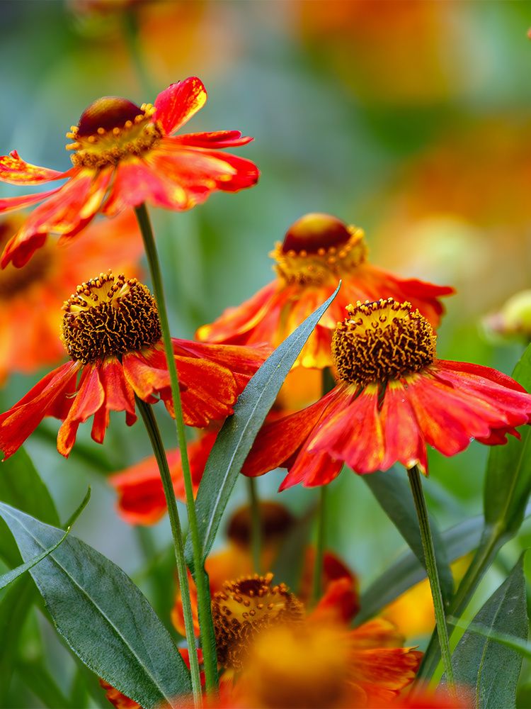 Photograph by Nadezhda Khrustaleva