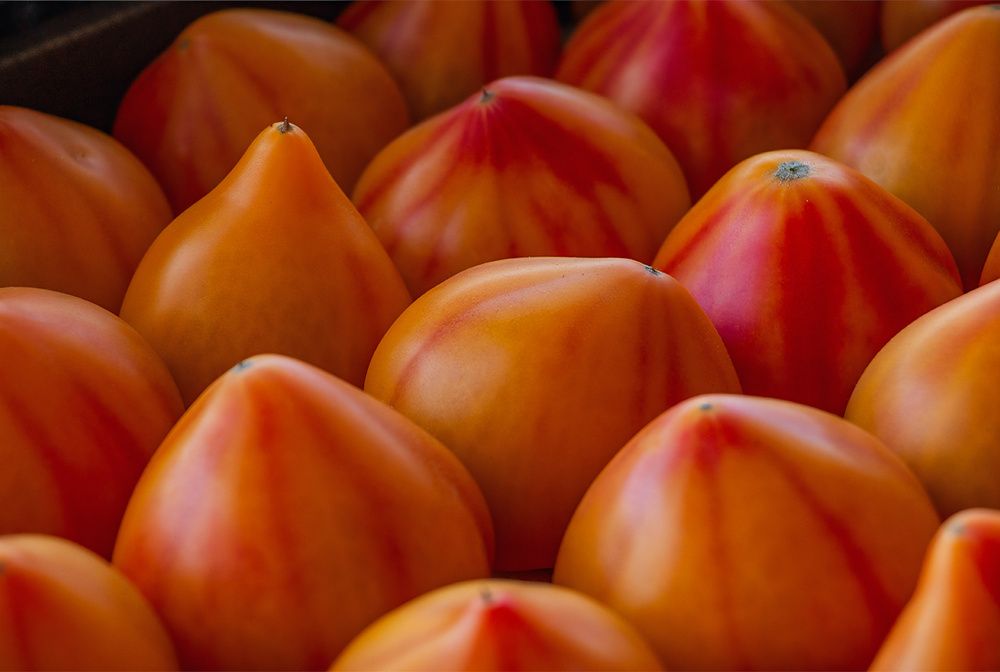 Photograph by Nadezhda Khrustaleva