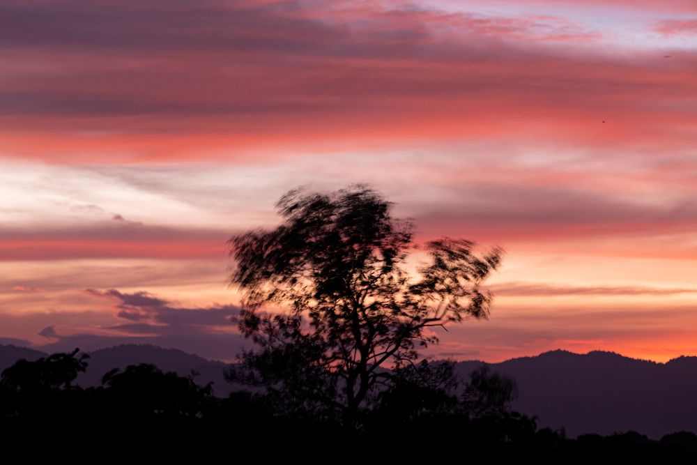 Photograph by Ngoc Hieu Bui