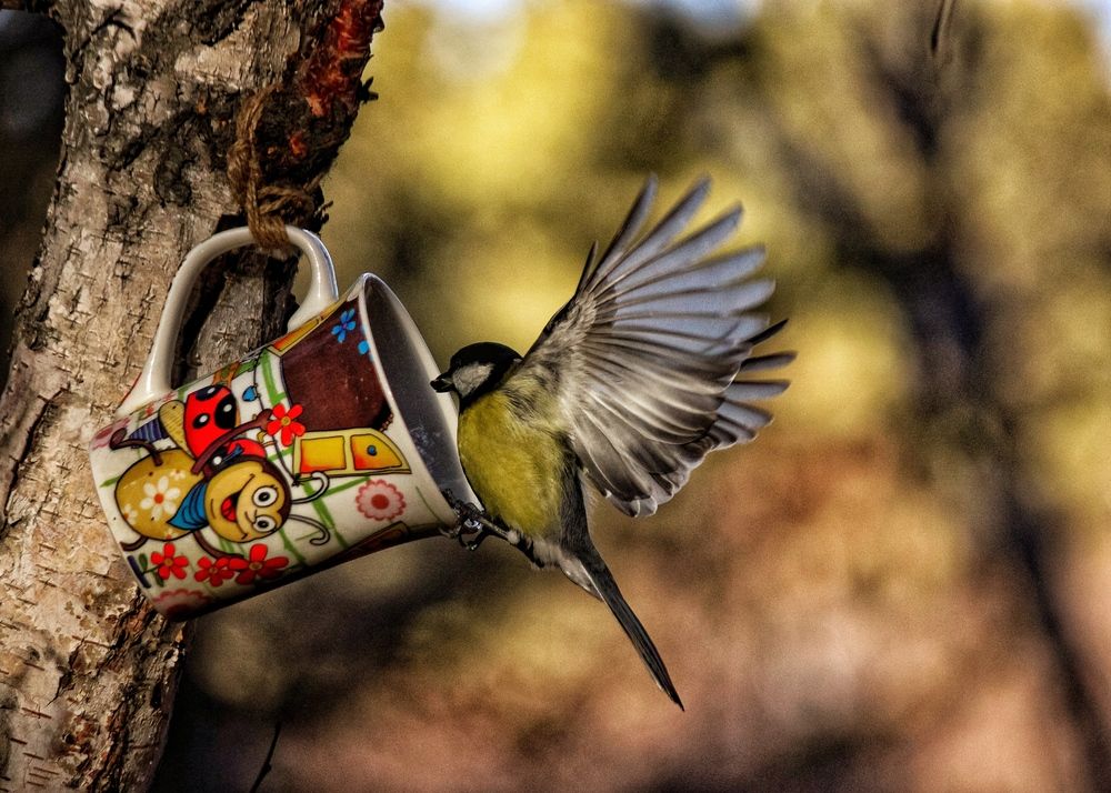 Photograph by Марина Мишутина