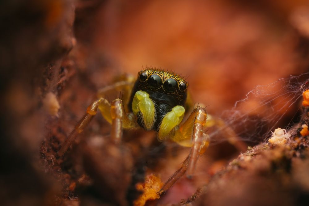 Photograph by Юрий Юрьевич Подгрушный