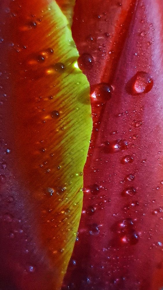 Photograph by Марина