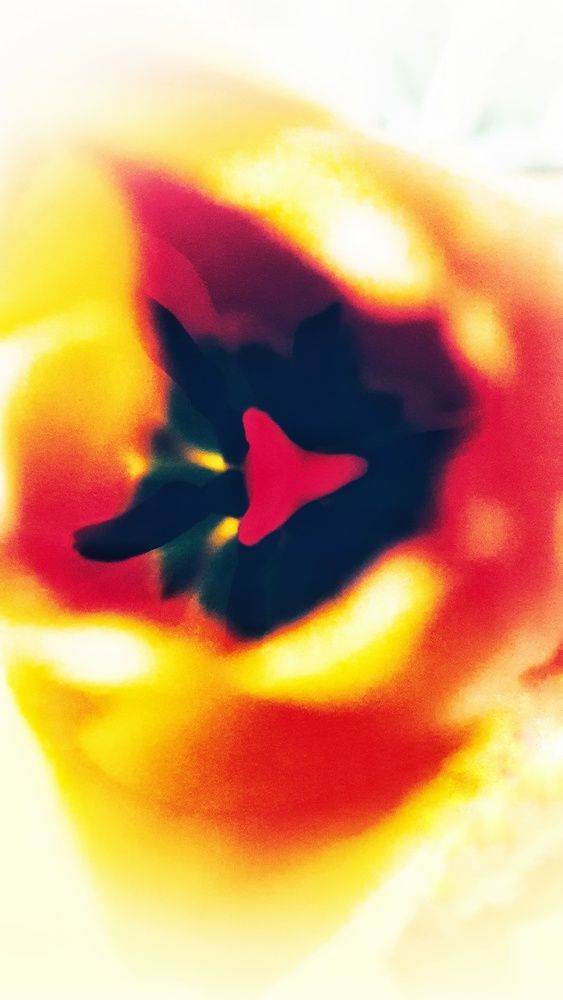 Photograph by Марина