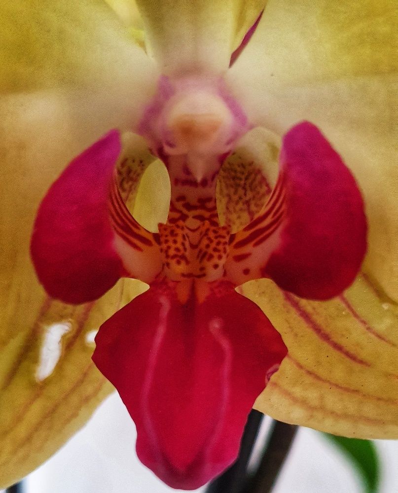 Photograph by Марина