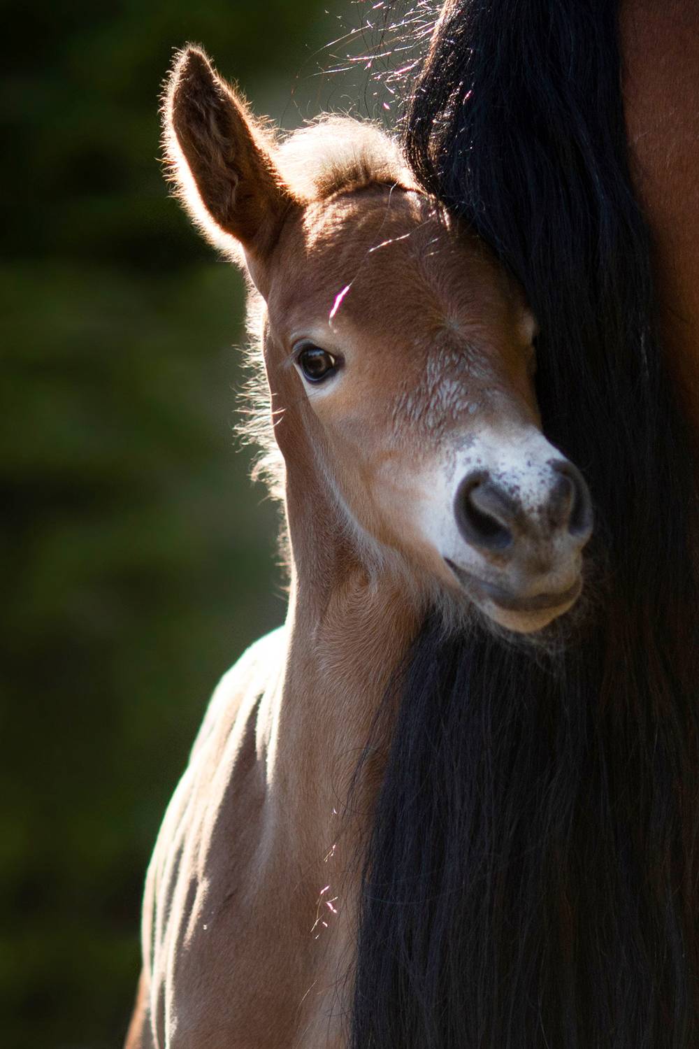 Фотография #13443963