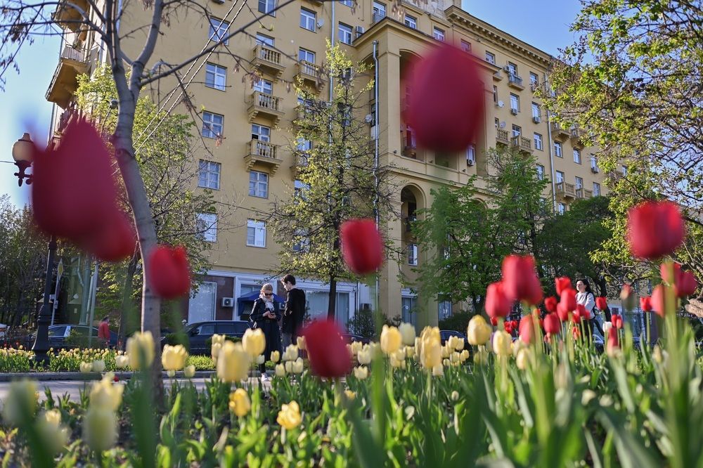 Photograph by Машевский Владимир