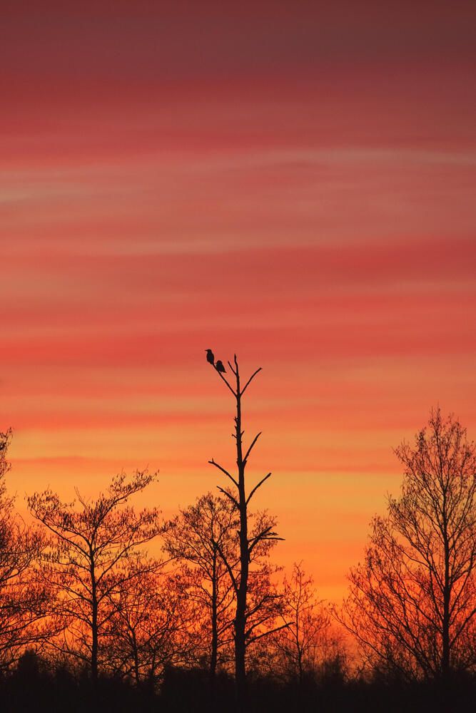 Photograph by Yuliya Hisova