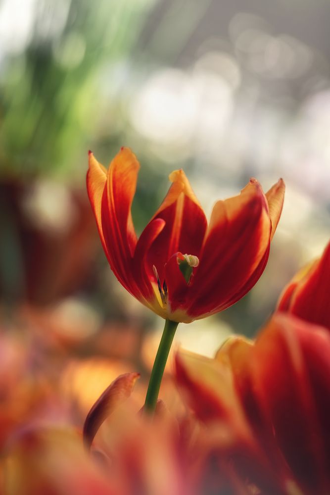 Photograph by Людмила Завьялова