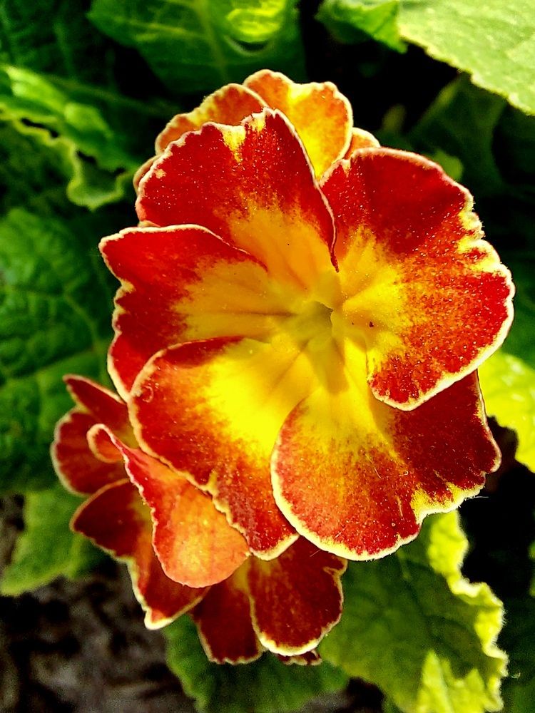 Photograph by Ирина Жукова