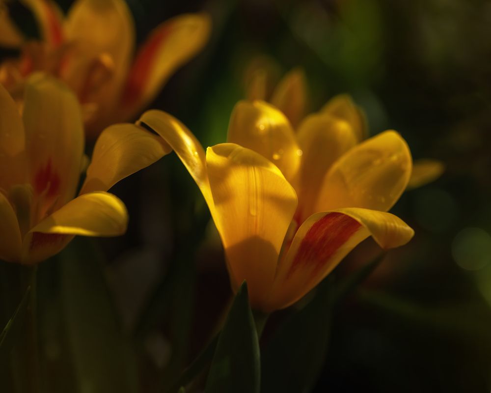 Photograph by Людмила Завьялова