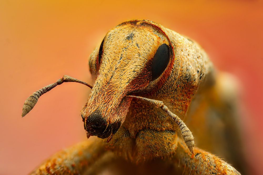 Photograph by Юрий Юрьевич Подгрушный