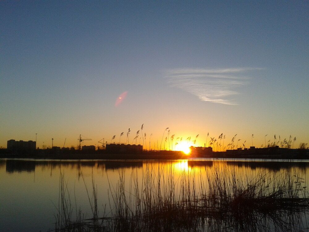 Photo #13444291
