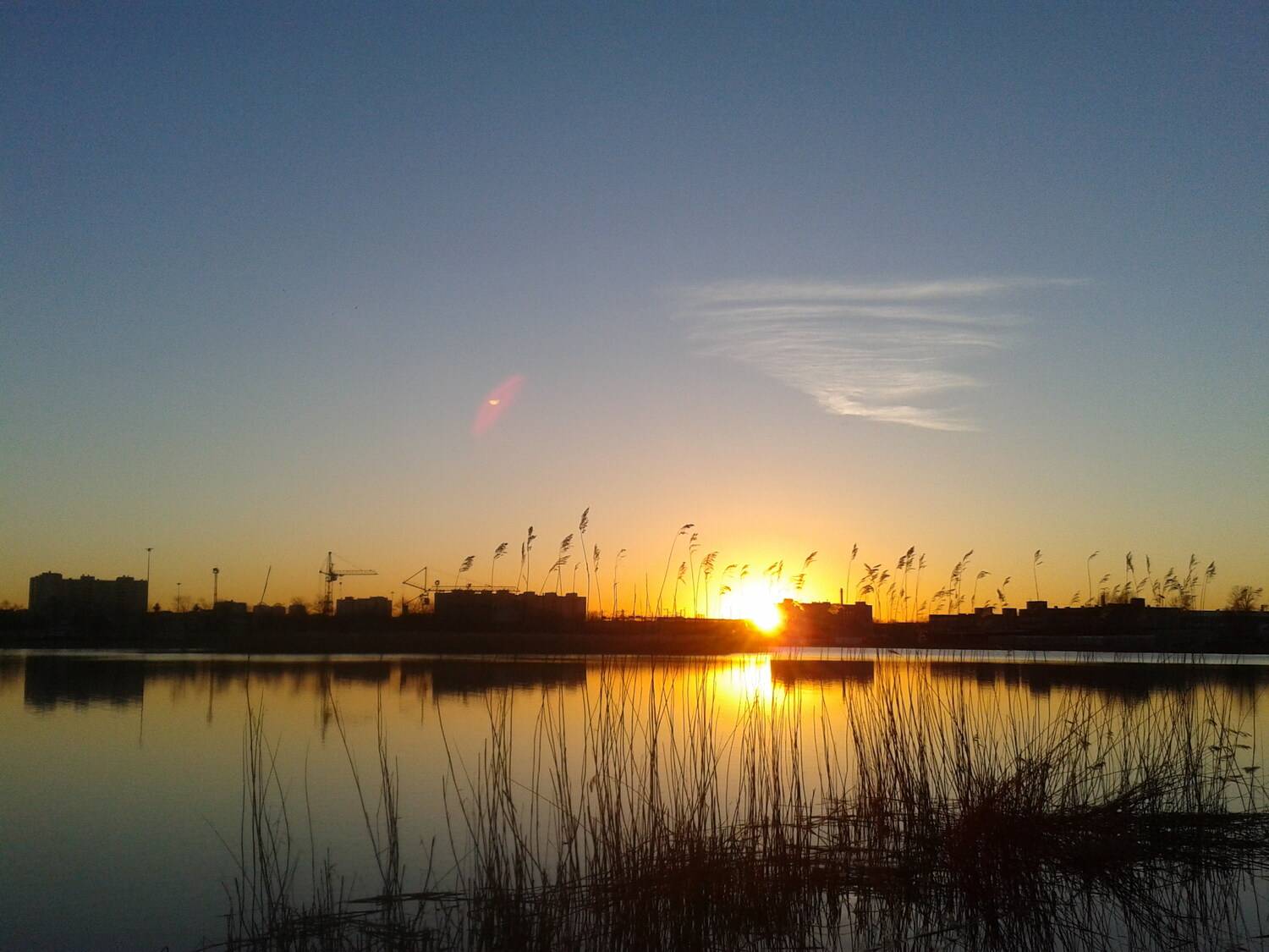 Photo #13444291