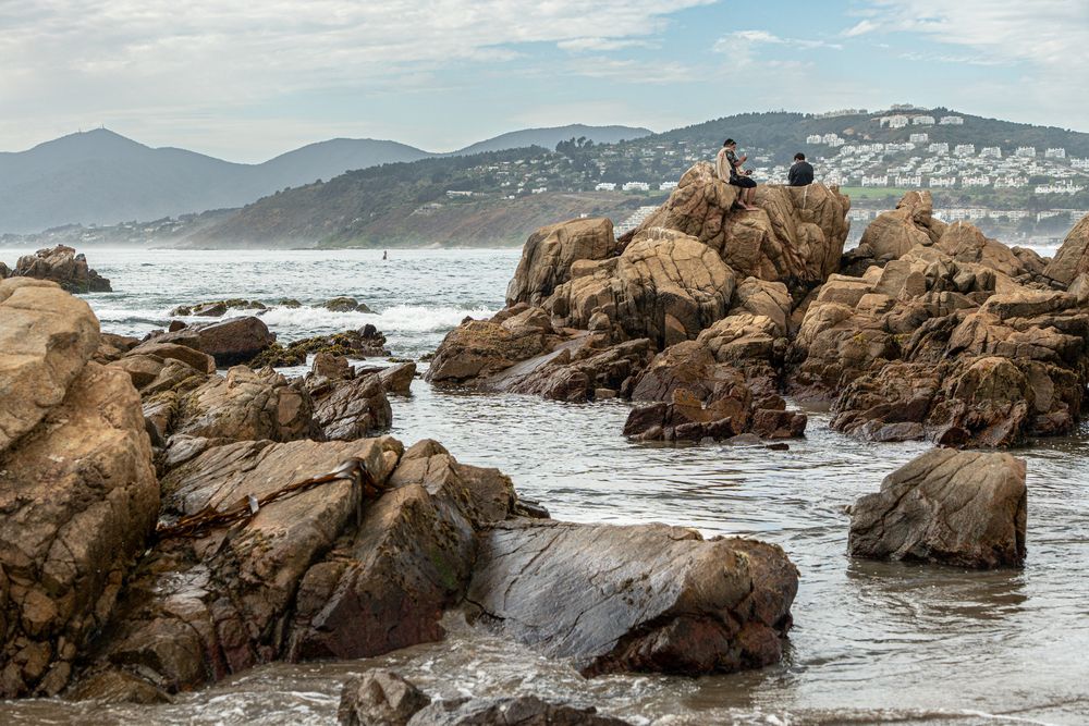 Тихий берег (2026)