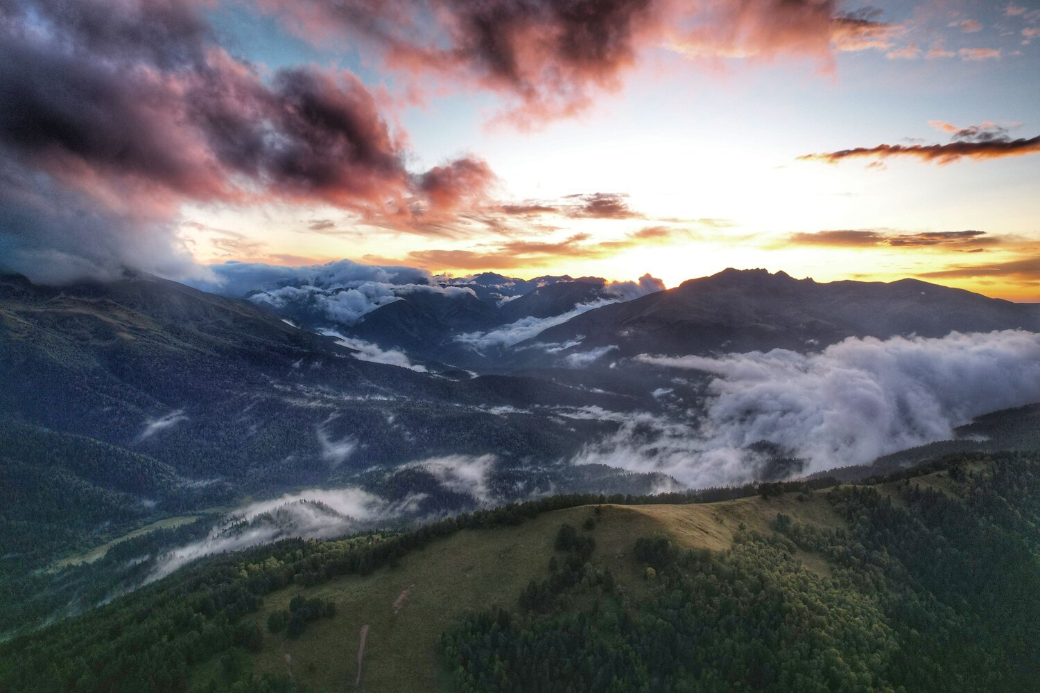 Photo #13444347