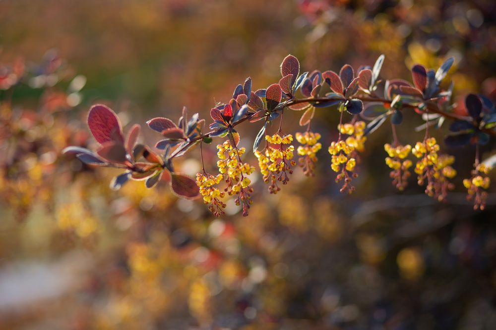 Photograph by Светлана Голик