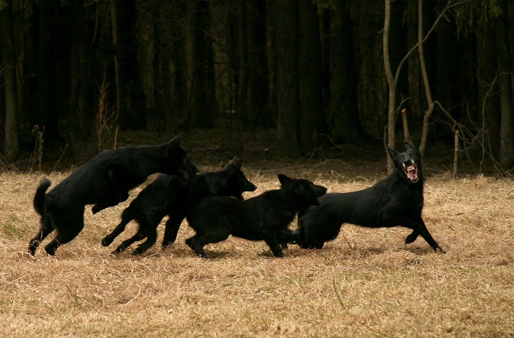 Photograph by Надежда Лисицына