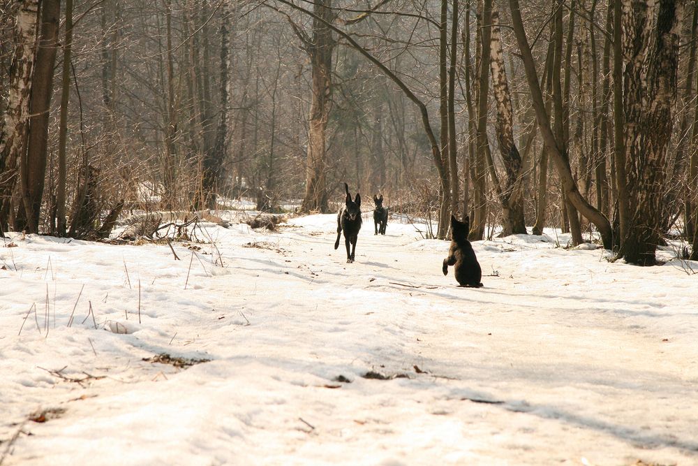 Photograph by Надежда Лисицына