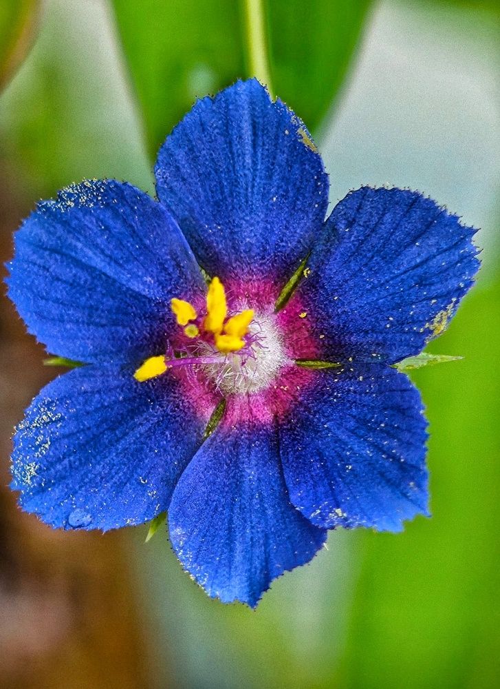 Photograph by Anil Yadav