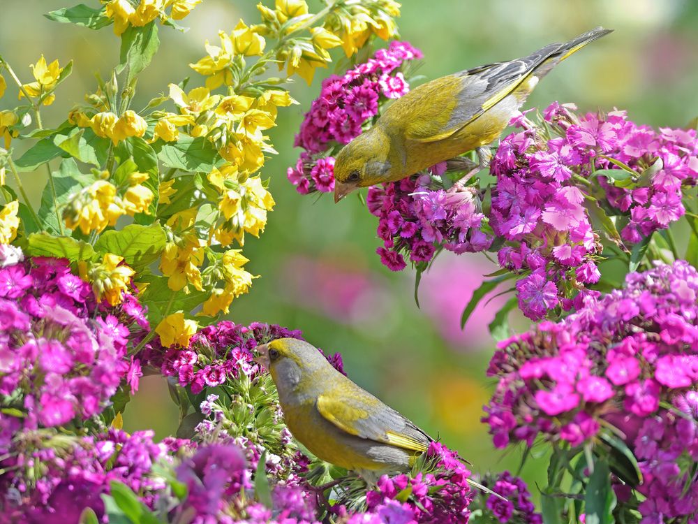 Photograph by vladilenoff