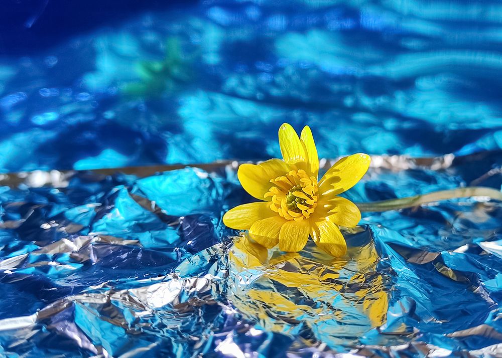 То ли в море, то ли нет...