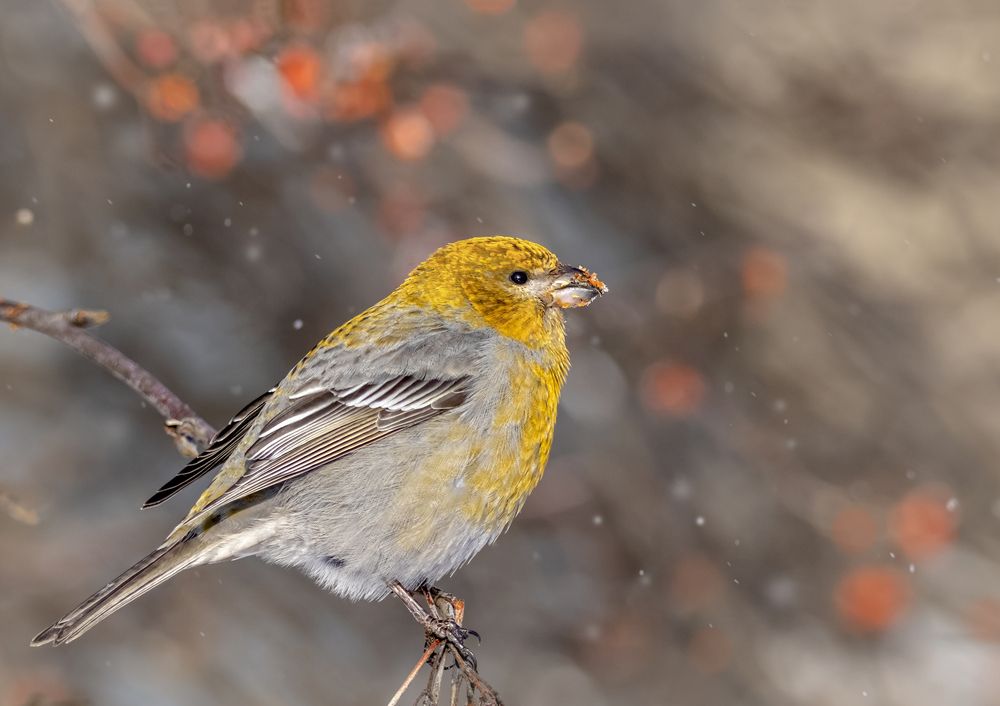 Photograph by Андрей Калинин