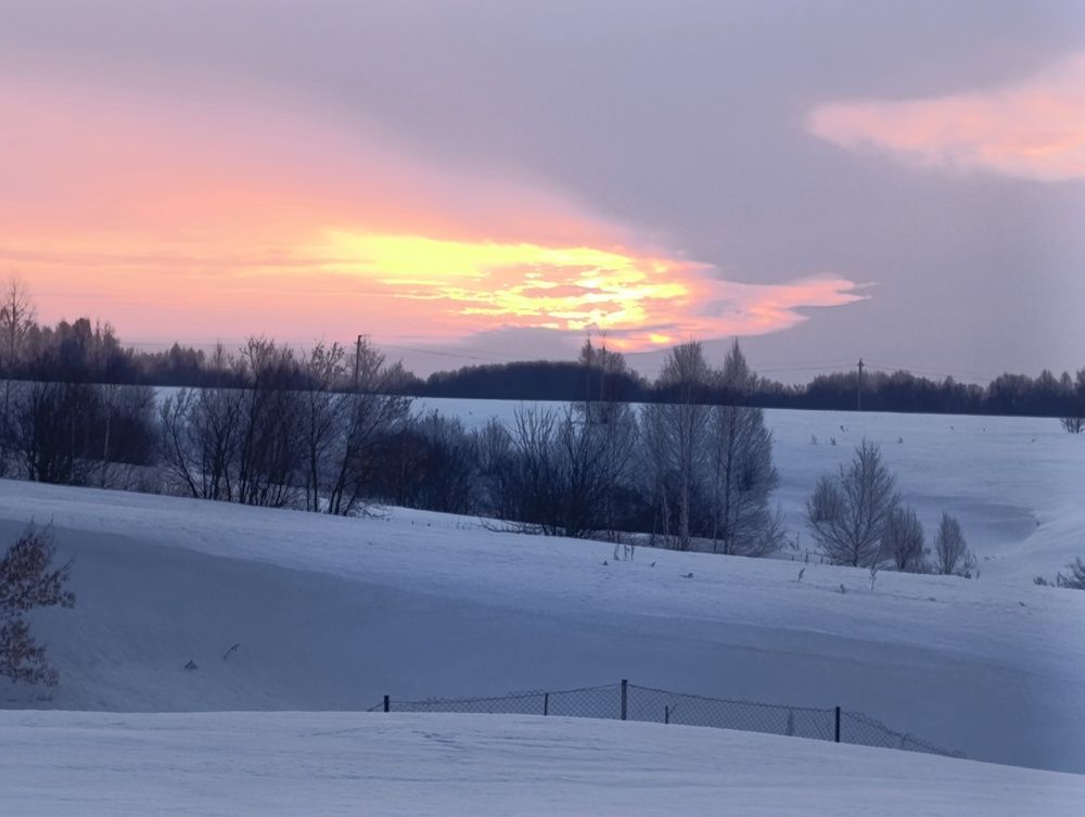 Птица феникс...
