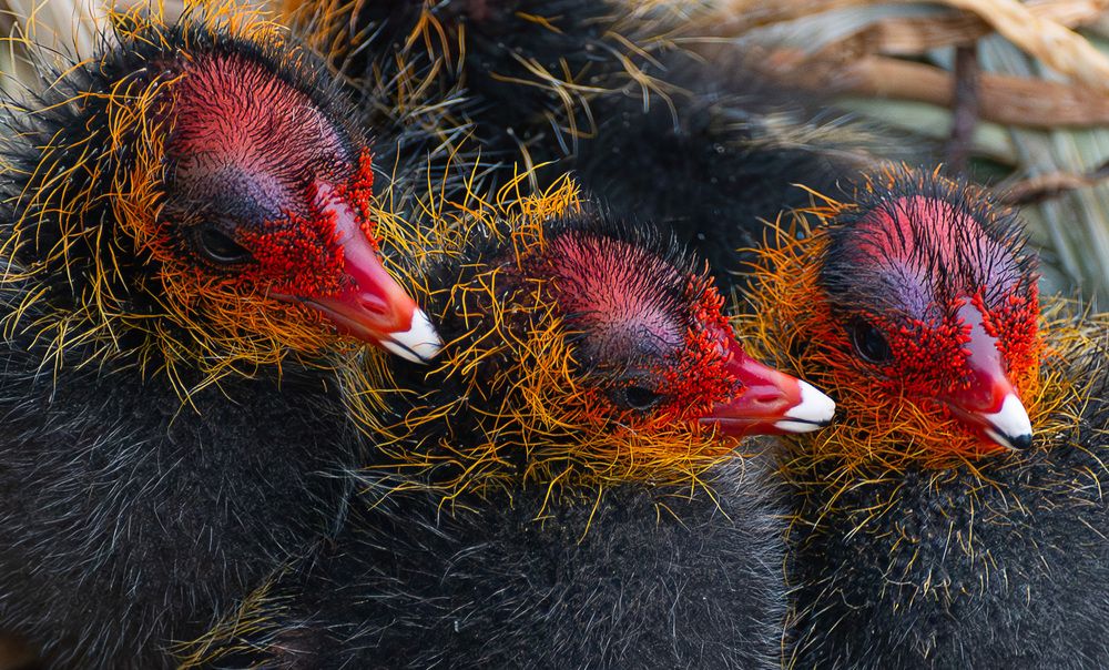 Photograph by Марина Шоркина