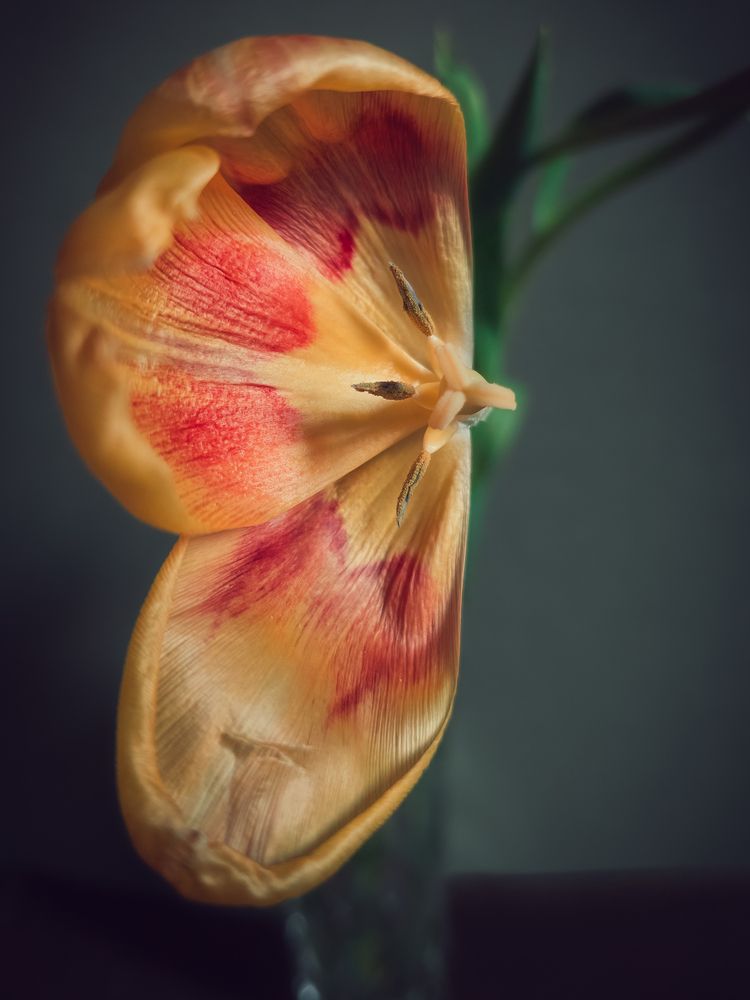 Photograph by Лилия Фролова