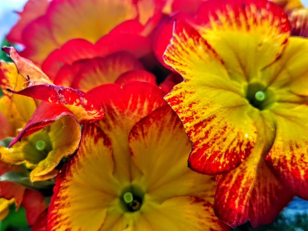 Фотография автора Александр Айзенштадт