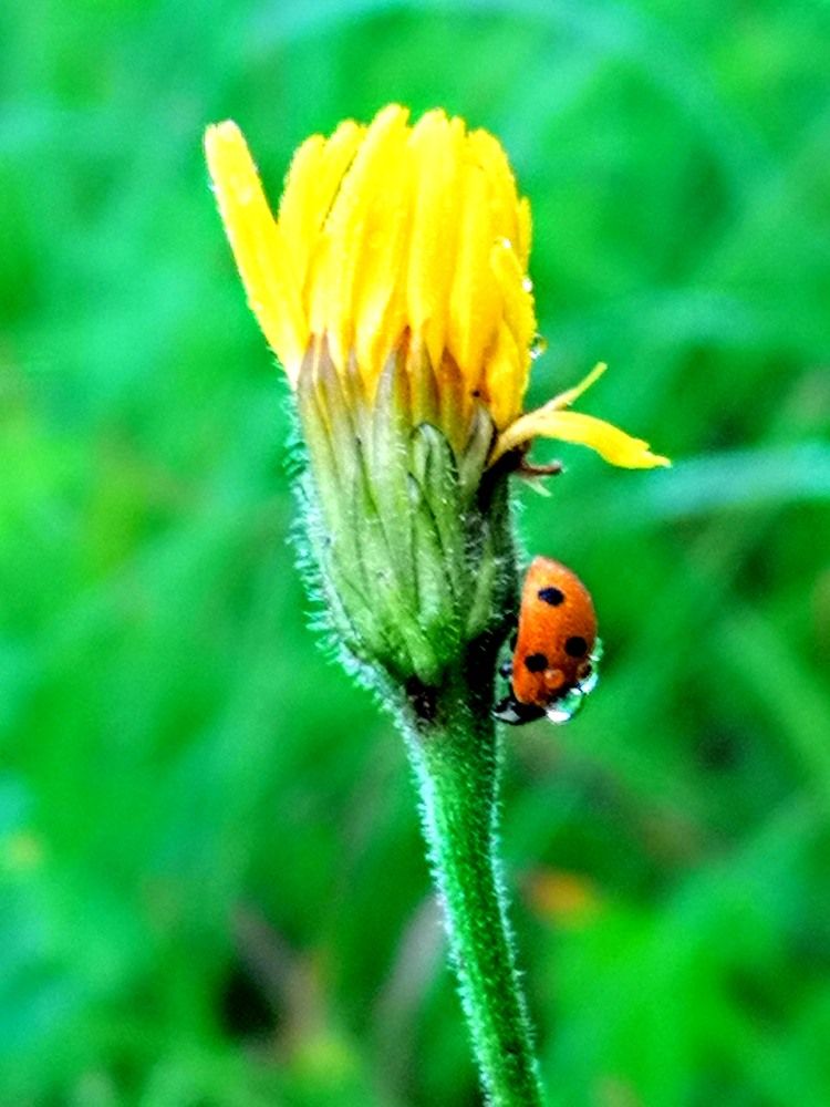 Фотография автора Александр Айзенштадт
