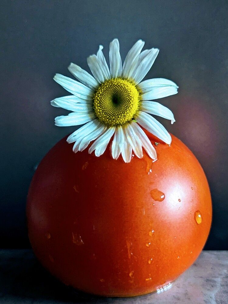 Фотография автора Александр Айзенштадт