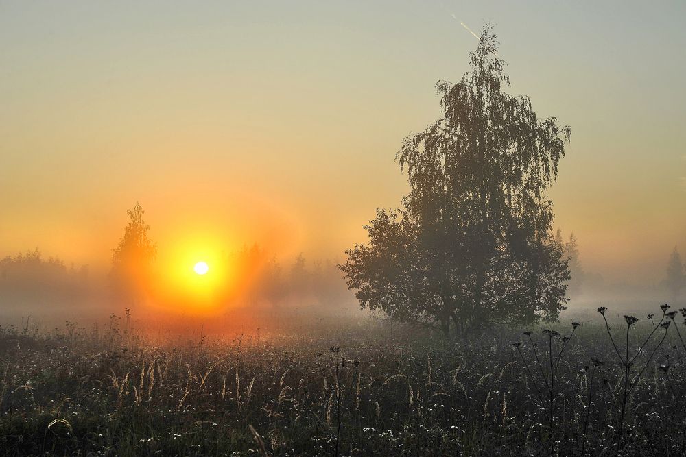 Photograph by Cергей Абакумов