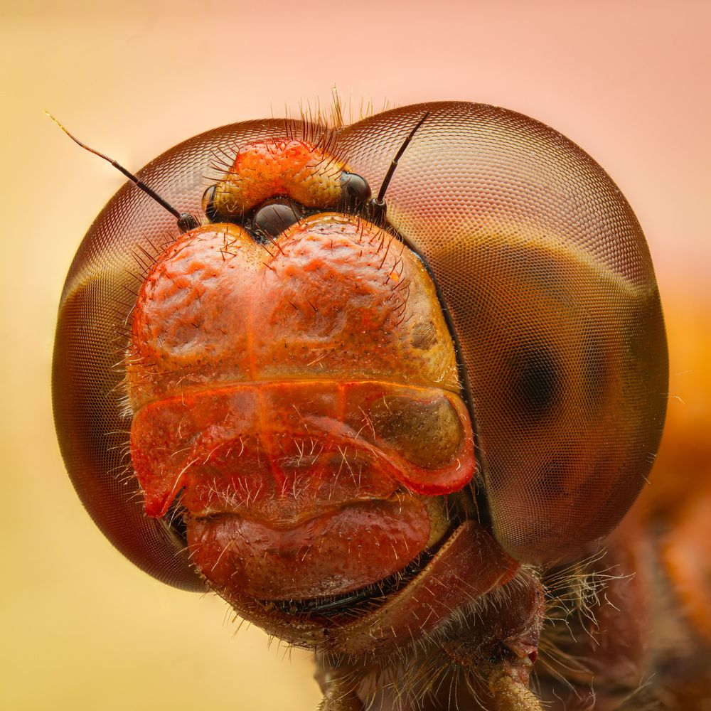 Photograph by Юрий Юрьевич Подгрушный