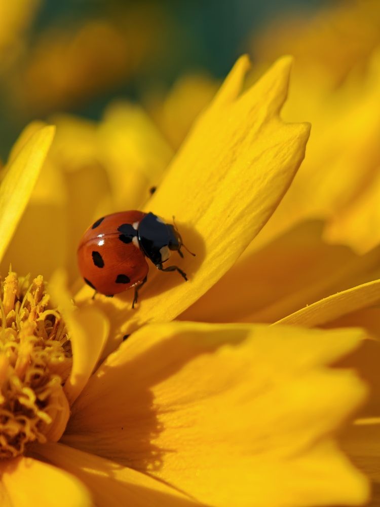 Photograph by Алексей Юдин