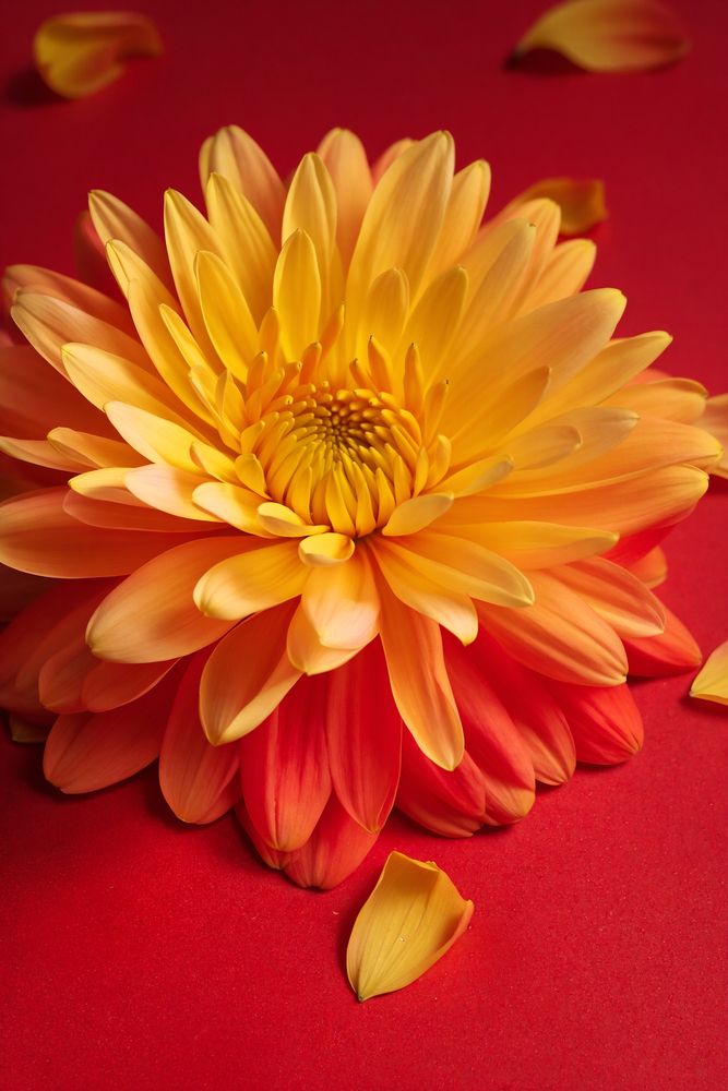 Photograph by Сергей Салманов