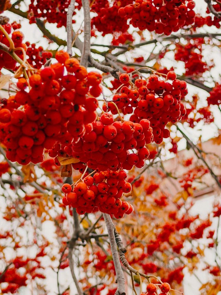 Photograph by Анастасия Терехова