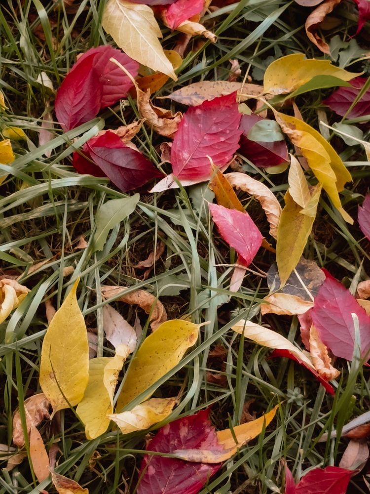 Photograph by Анастасия Терехова