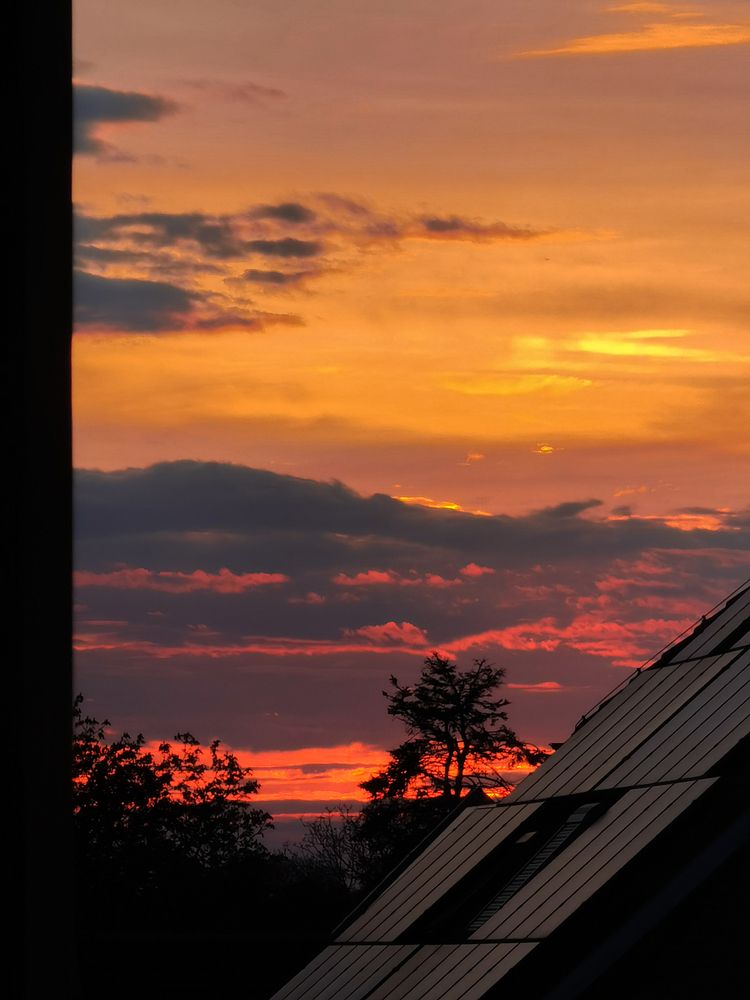 Photograph by Plesa Ioan Dan