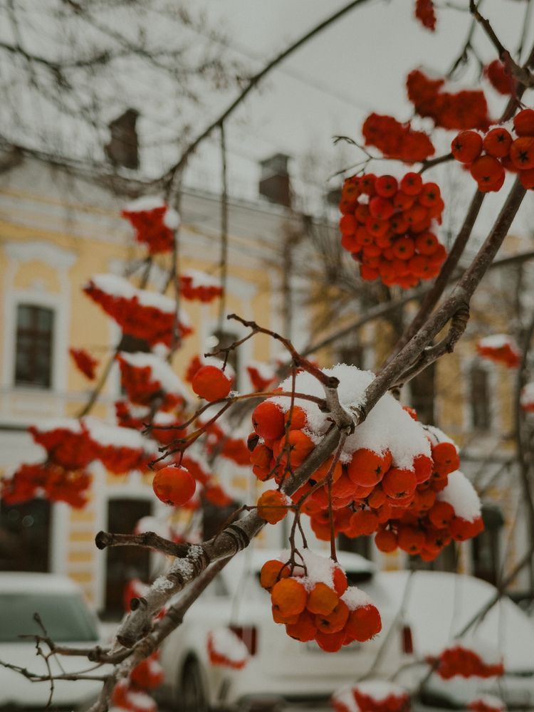 Photograph by Анастасия Терехова