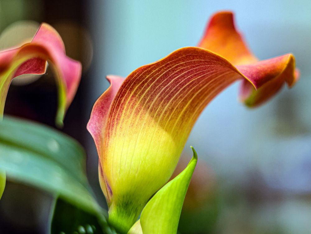 Photograph by Воронина Татьяна