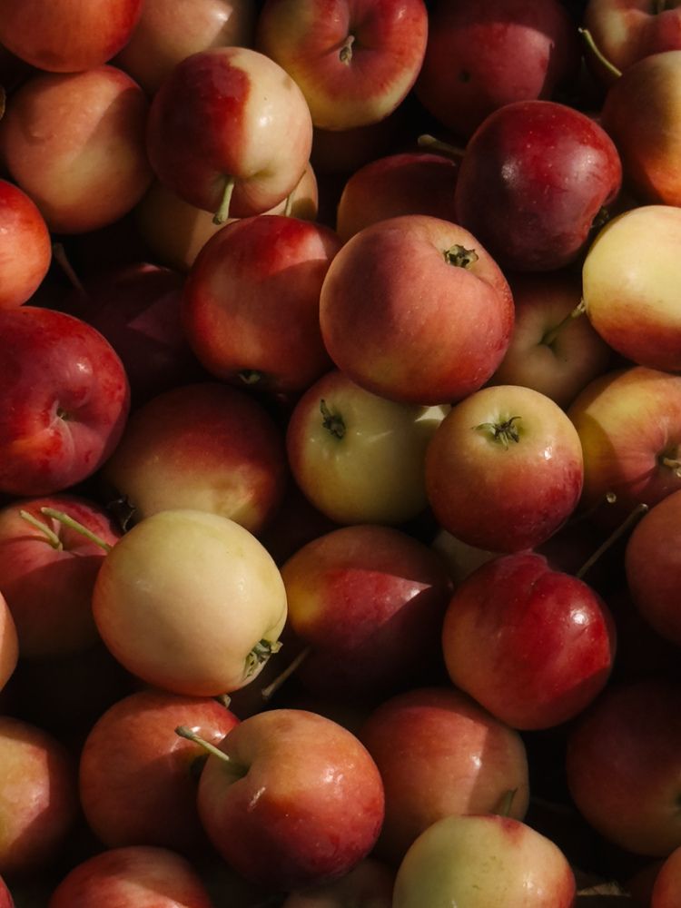 Photograph by Анастасия Терехова