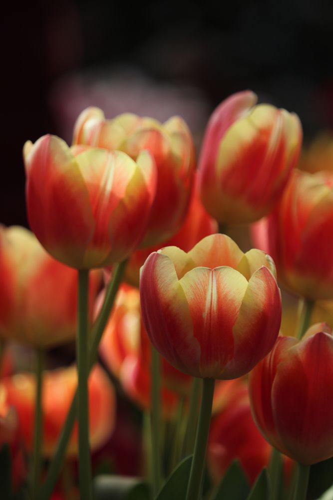 Photograph by Воронина Татьяна