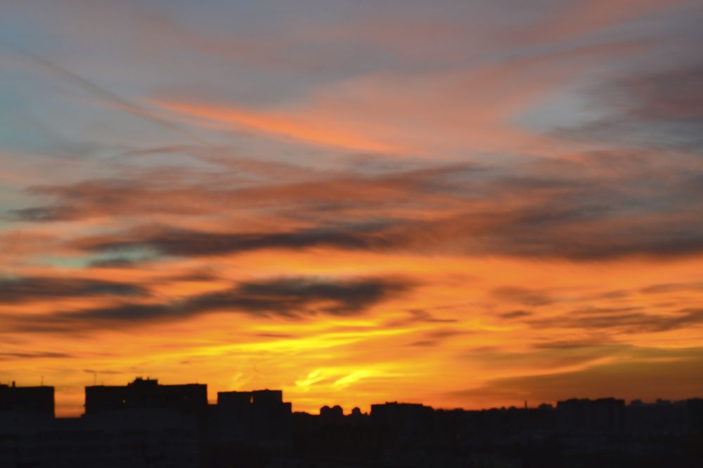 Фотография автора Елена Опалева